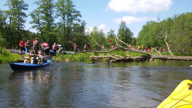 20150529_110655
