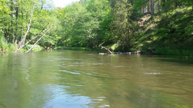 20150529_121154
